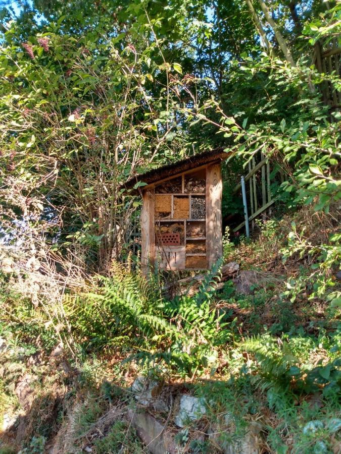 Natuerlich Kirchner Haus Katrin Villa Eisenach Kültér fotó
